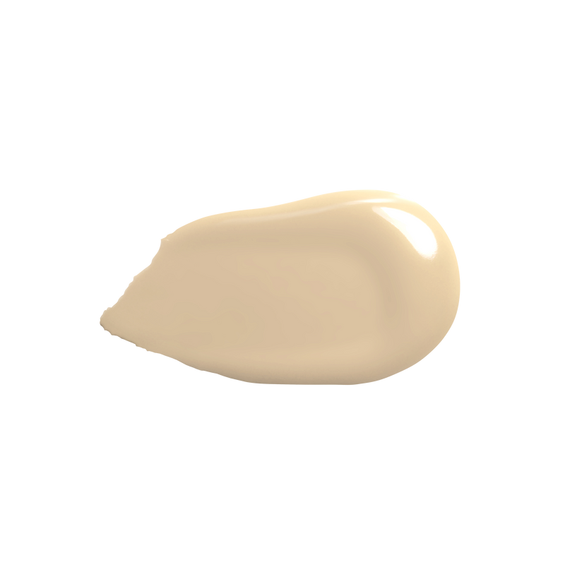 Absolute Cover Foundation - #0.25