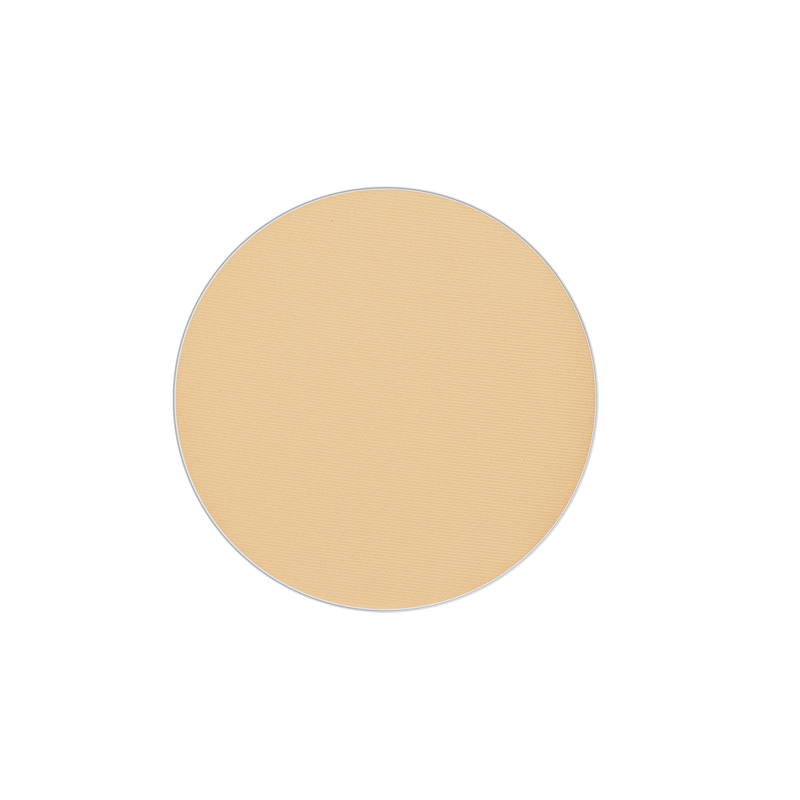 Wet & Dry Foundation Godet Refill - #39
