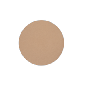 Wet & Dry Foundation Godet Refill - #41