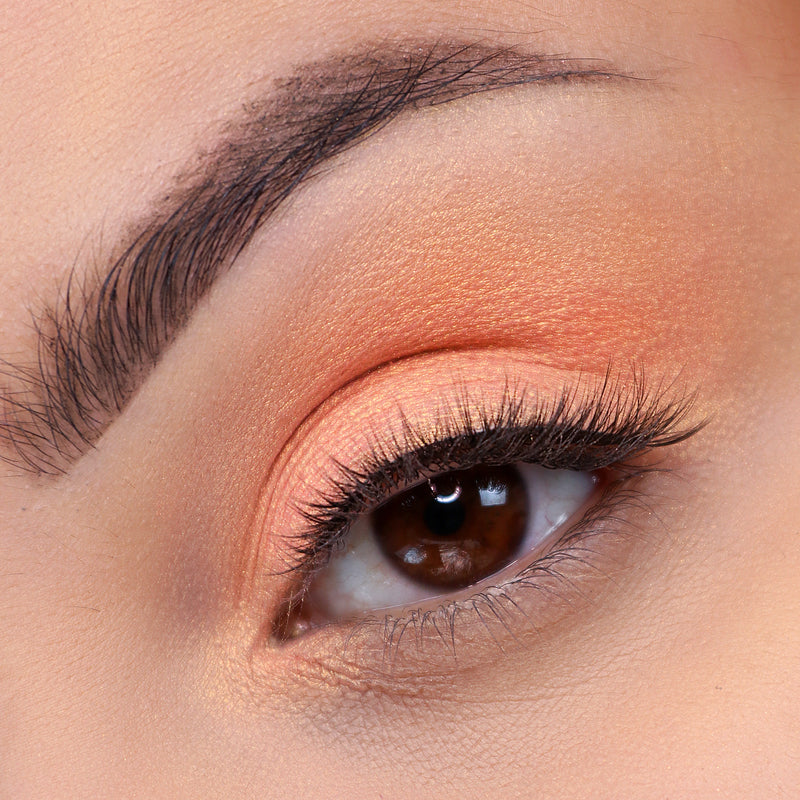 Signature Palette - Getaway