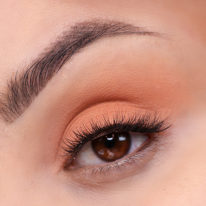 Signature Palette - Getaway