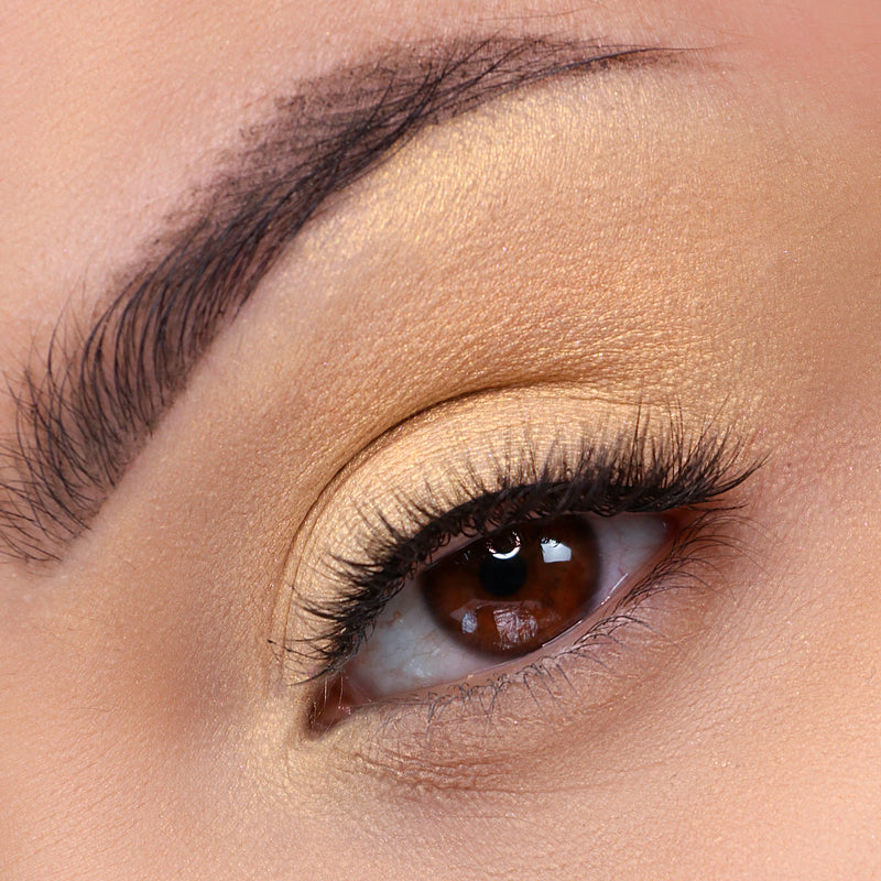 Signature Palette - Getaway