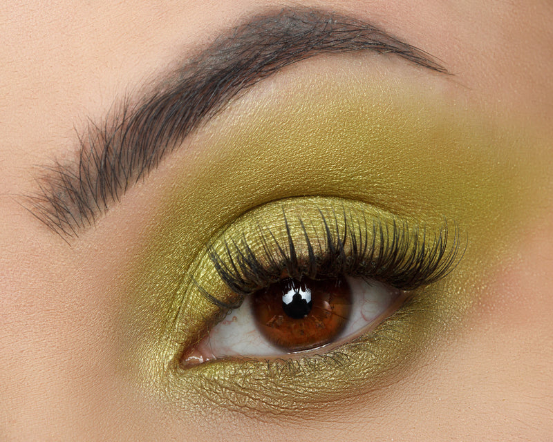Signature Palette - Empowered