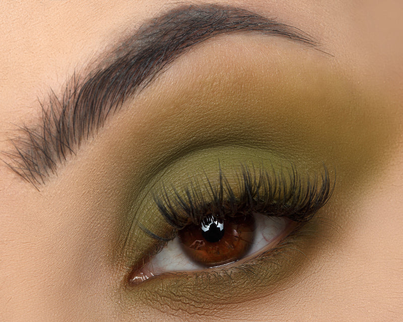 Signature Palette - Empowered