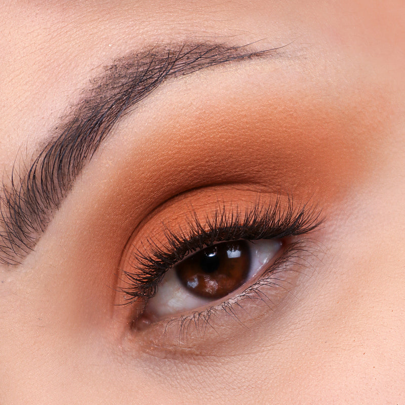 Signature Palette - Getaway
