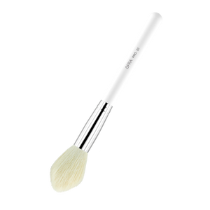 Brush #22 - Blush Brush