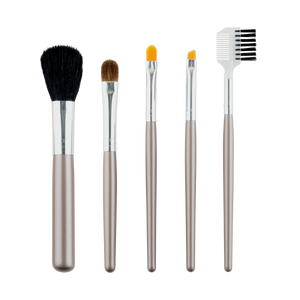 Brush Set 5 Pieces