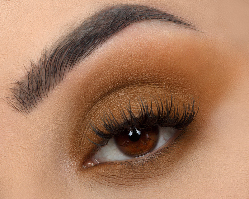 Signature Palette - Empowered