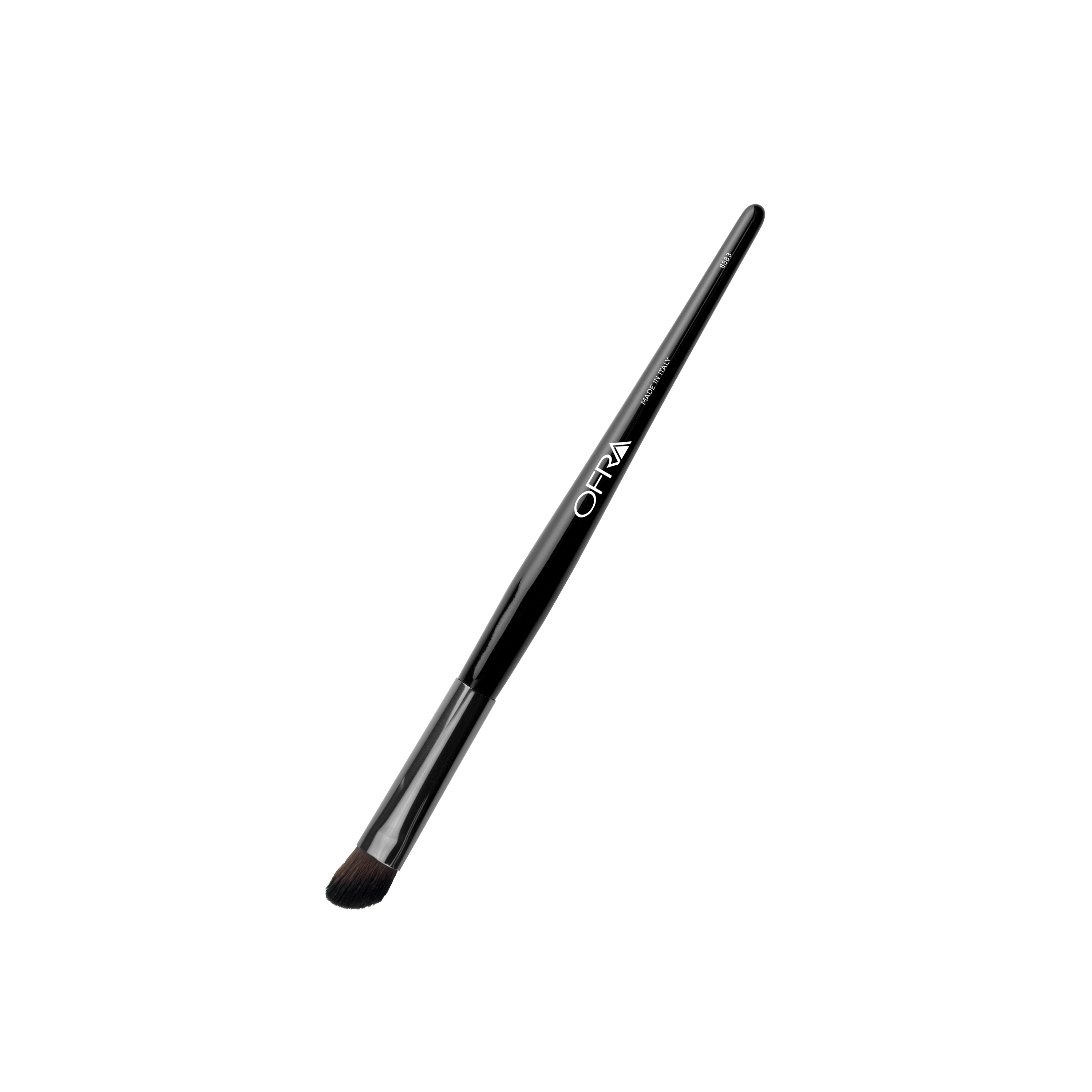 Brush #8883 - Angled Eye