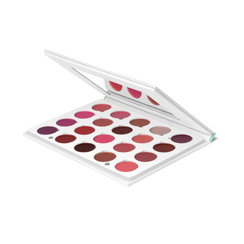 Pro Palette - Liplock