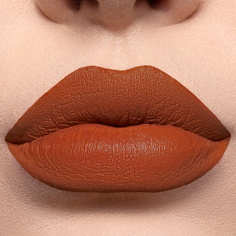 Long Lasting Liquid Lipstick - PSL