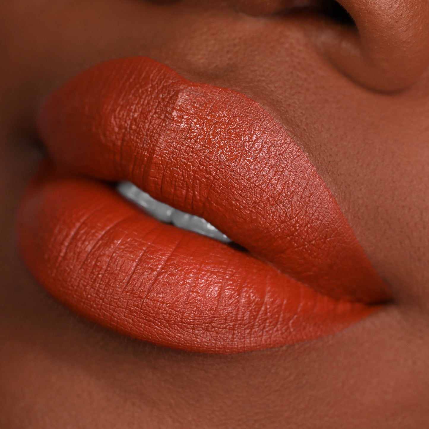 Long Lasting Liquid Lipstick - PSL