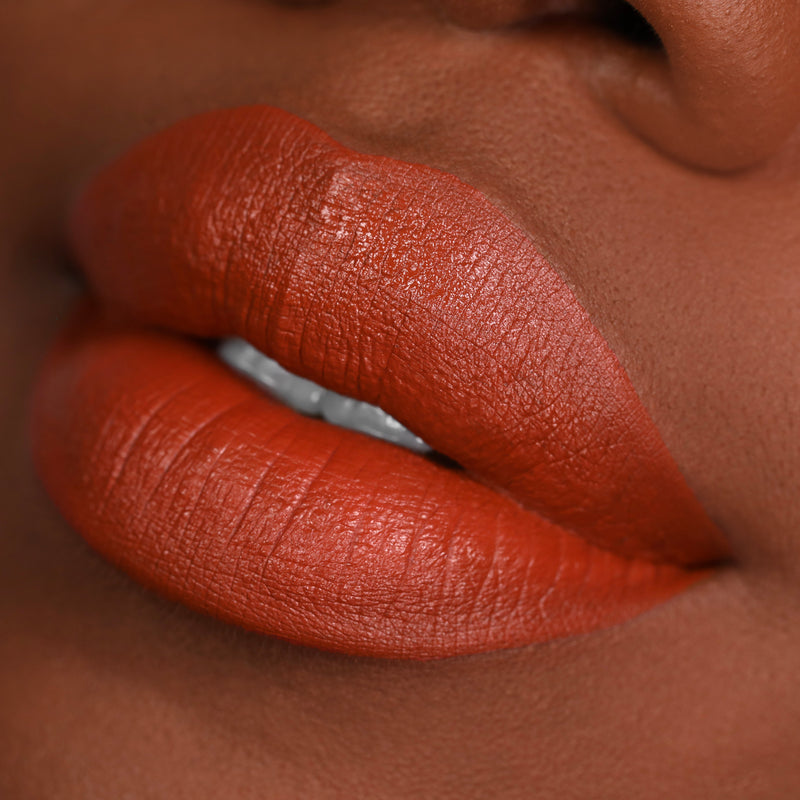 Long Lasting Liquid Lipstick - PSL