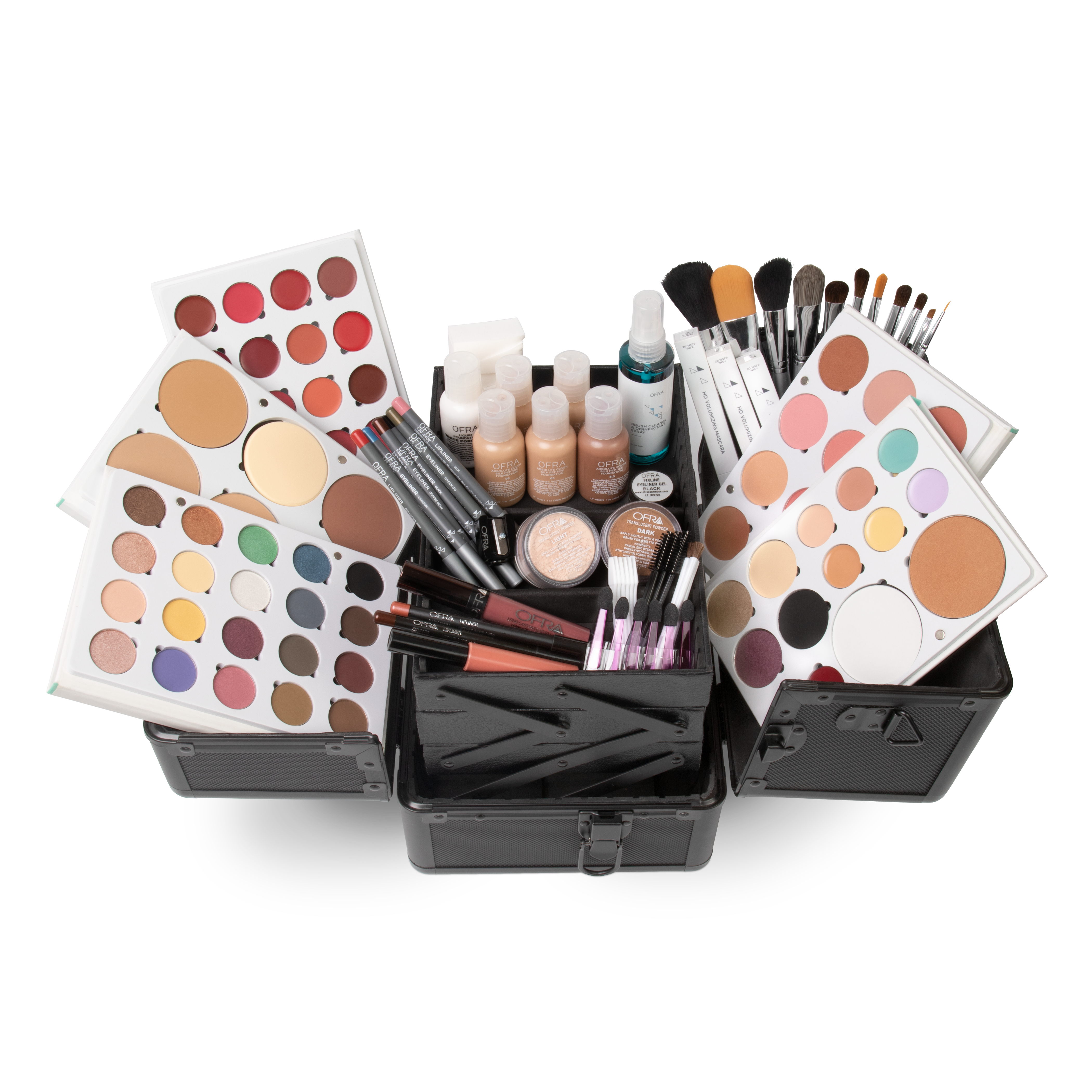 Professional Toolbox Makeup Case