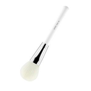 Brush #8 - Powder