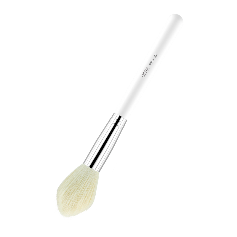 Brush #22 - Blush Brush