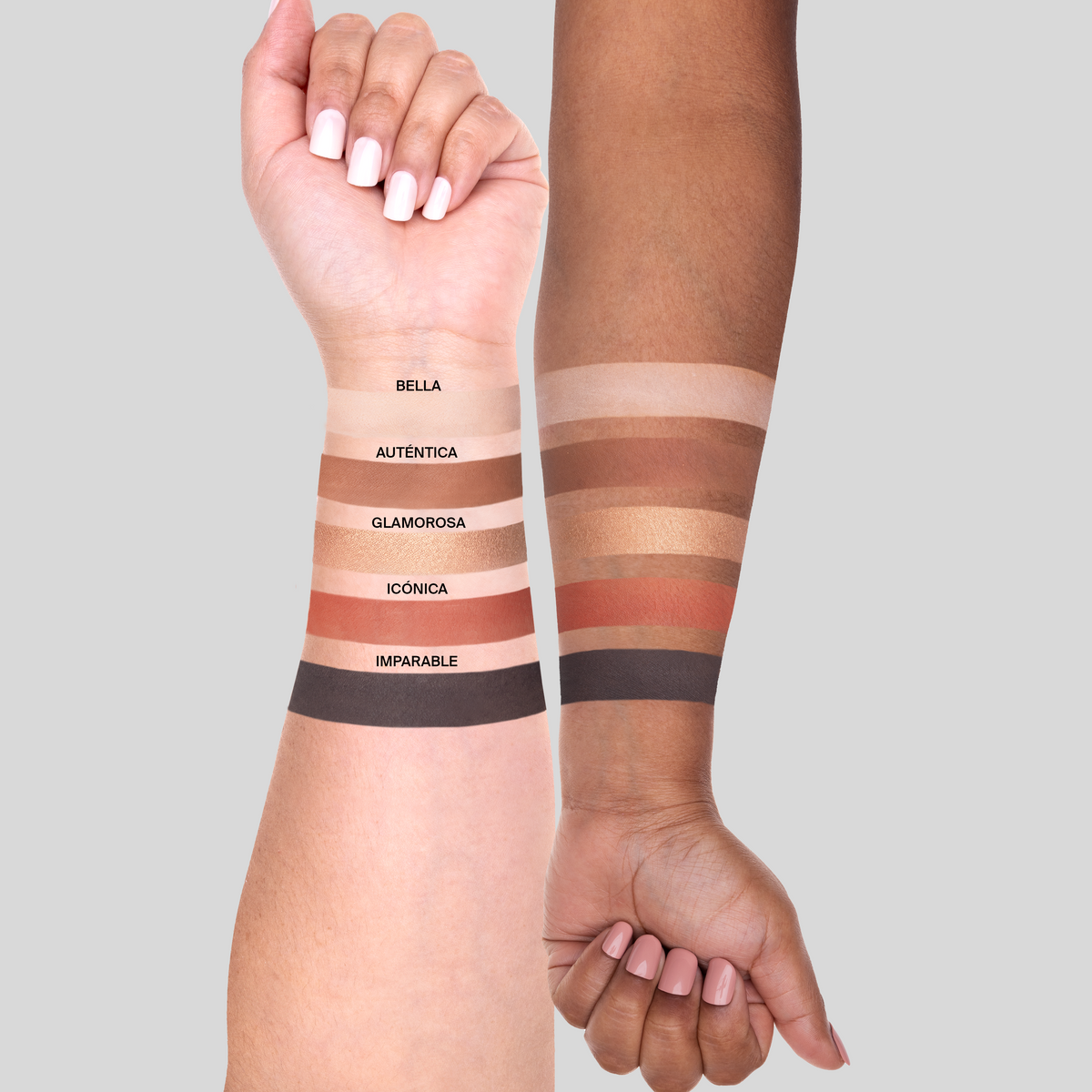 Signature Palette - Alegría