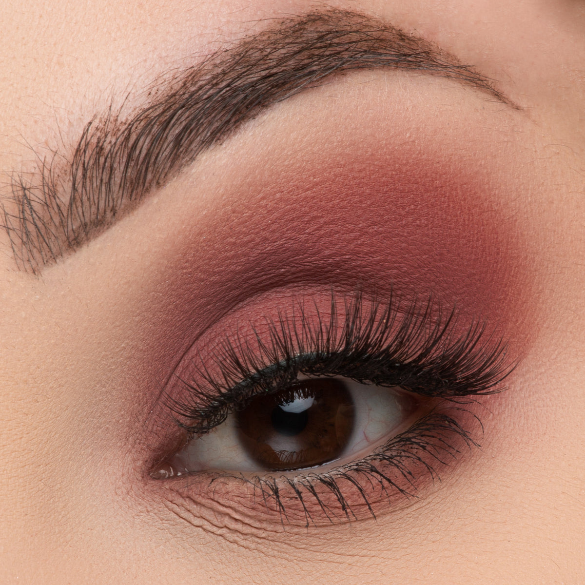 Life's A Draft | Mini Mix Face Palette | Cruelty-Free & Vegan Face ...