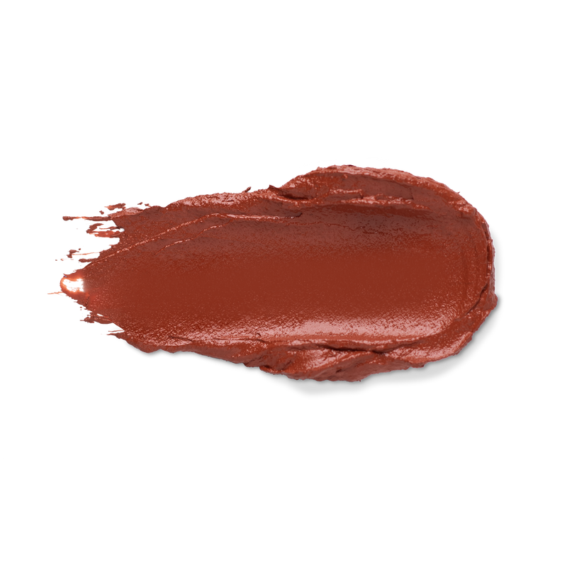 Long Lasting Liquid Lipstick - PSL